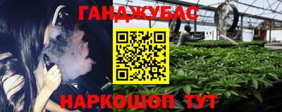 дурь Сланцы