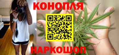 apvp Славгород