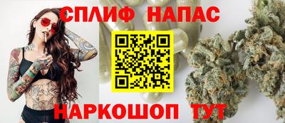 дурь Сланцы