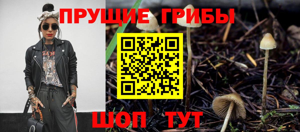 Псилоцибиновые грибы GOLDEN TEACHER Сатка